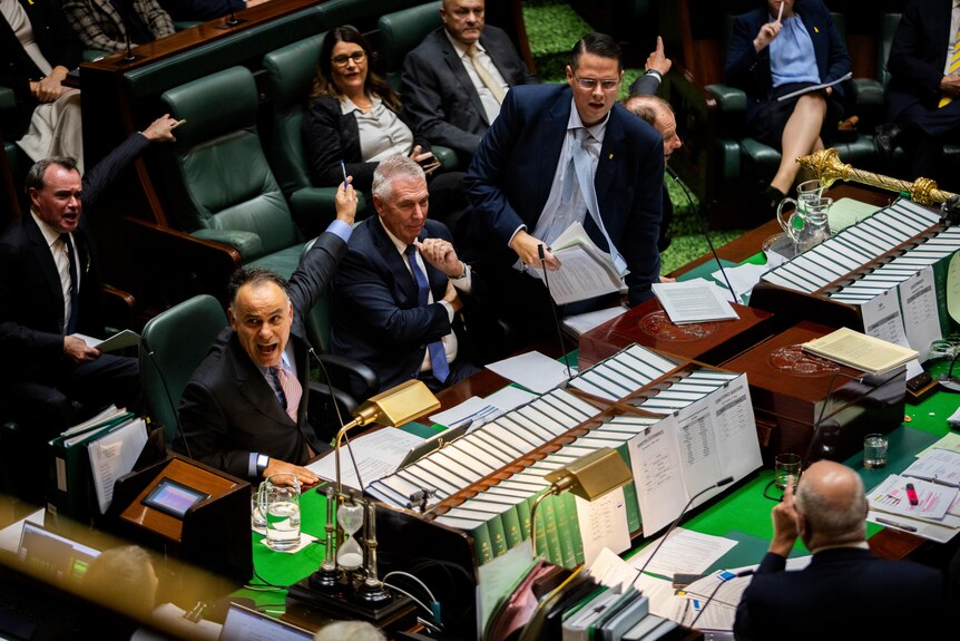 John Pesutto speaks, gesturing behind him, as he sits with colleagues in Victoria's lower house.