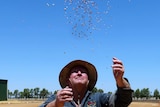 WA farmer throws lupins in the air in joy.