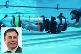 An image of Elon Musk inset into a photo of his submarine prototype.