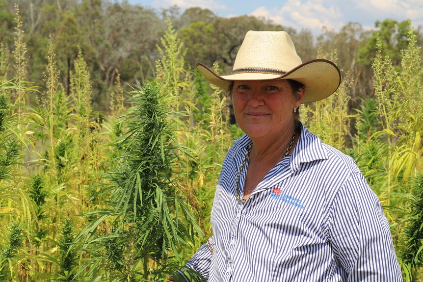 A woman stands next to a cannabis plant.