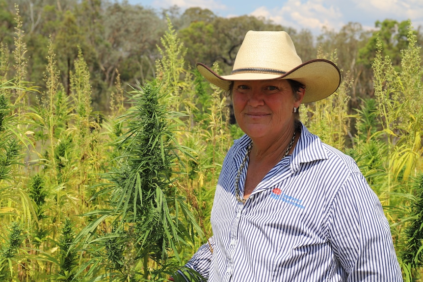 A woman stands next to a cannabis plant.