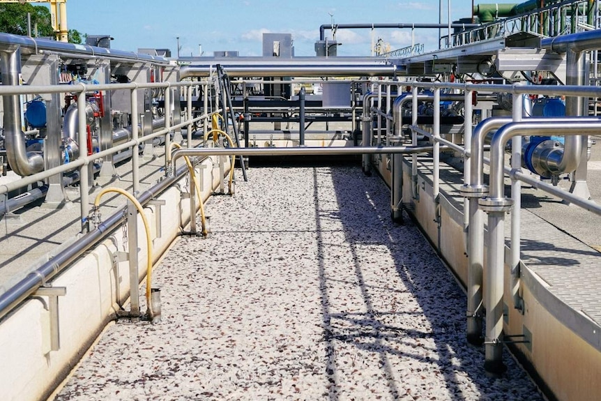 Luggage Point sewage treatment plant at Pinkenba, on Brisbane's eastside.