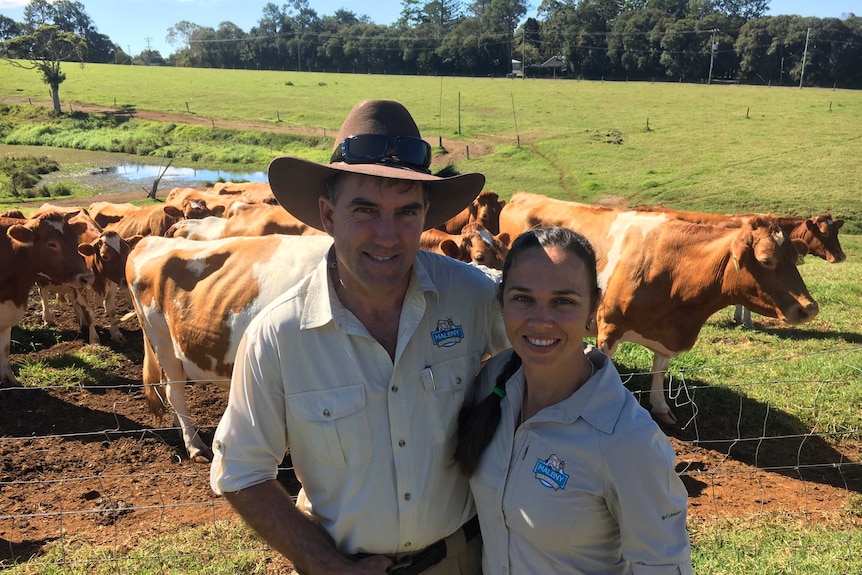 A couple look at the camera with cows behind them.