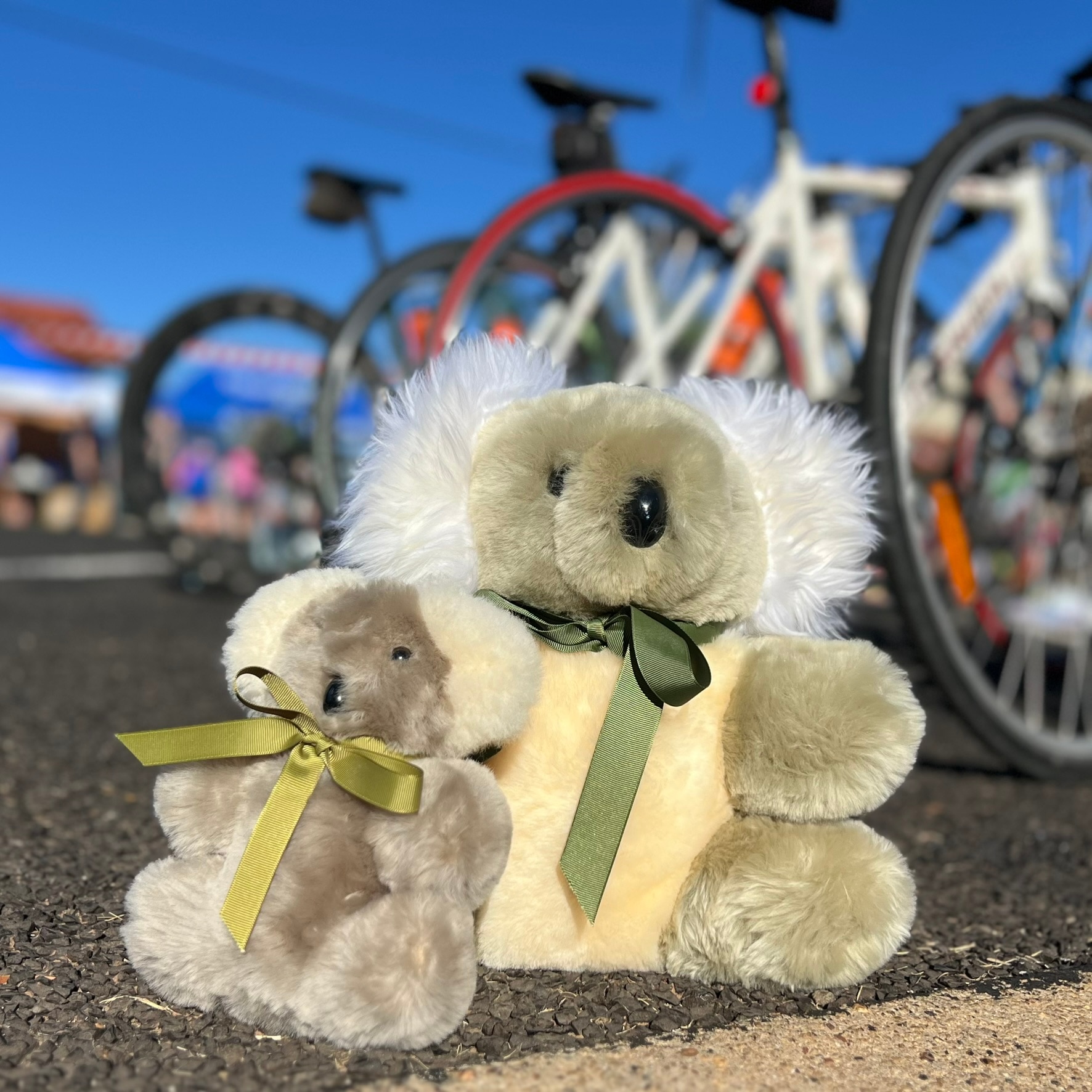 a large and a small soft toy koala with green ribbons sit on ashphalt with bike wheels visible behind