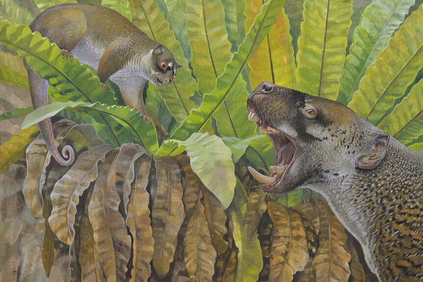 Artwork showing Ektopodon serratus (top left) with Wakaleo oldfieldi.