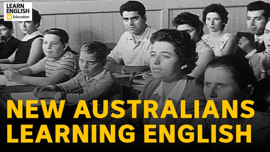 New Australians learning English