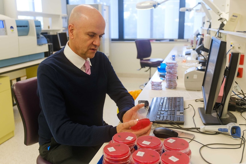 A man sitting in front of a computer in a lab holds a petri dish with a red base and looks inside.