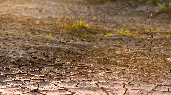 Dry and cracked earth.