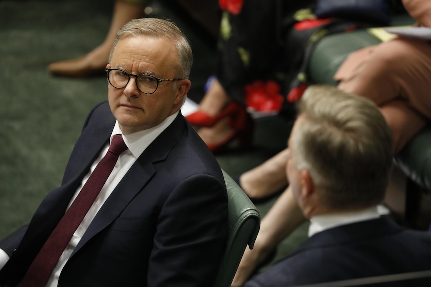 Albanese glances at Bowen, while the pair sit in the house of representatives chamber.