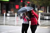 Two women cross the street in the rain with one protected under an umbrella and the other pulling it towards her.