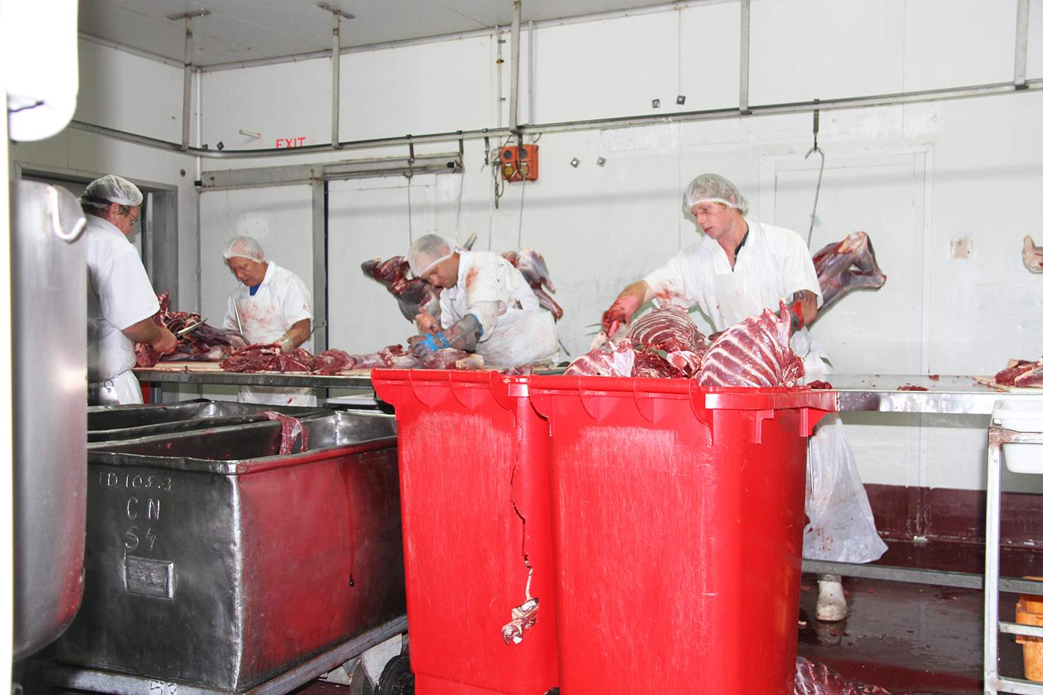 Des employés travaillent à l'usine de transformation de kangourous de Warroo Meats à Surat