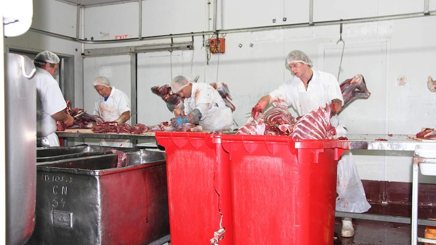 Employees work at the kangaroo processing plant in western Queensland