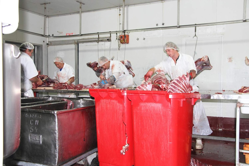 Employees work at the kangaroo processing plant in western Queensland