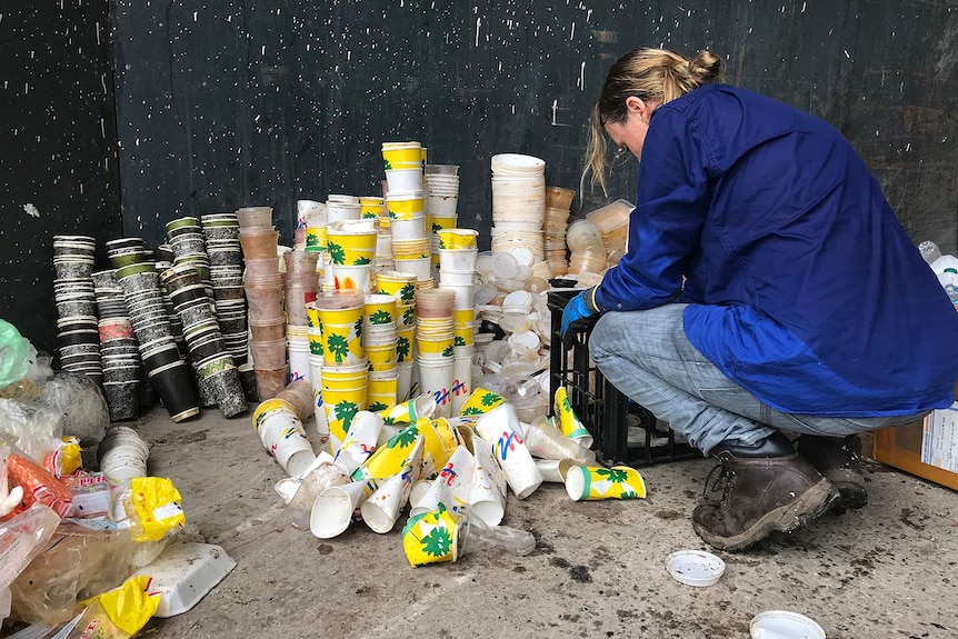 A photo of a volunteer sorting takeaway cups into piles.