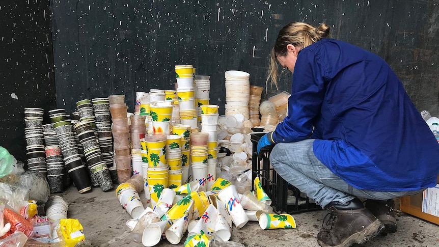A photo of a volunteer sorting takeaway cups into piles.