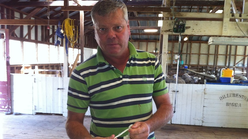 Murray Picker, at Hillcreston stud, Bigga NSW