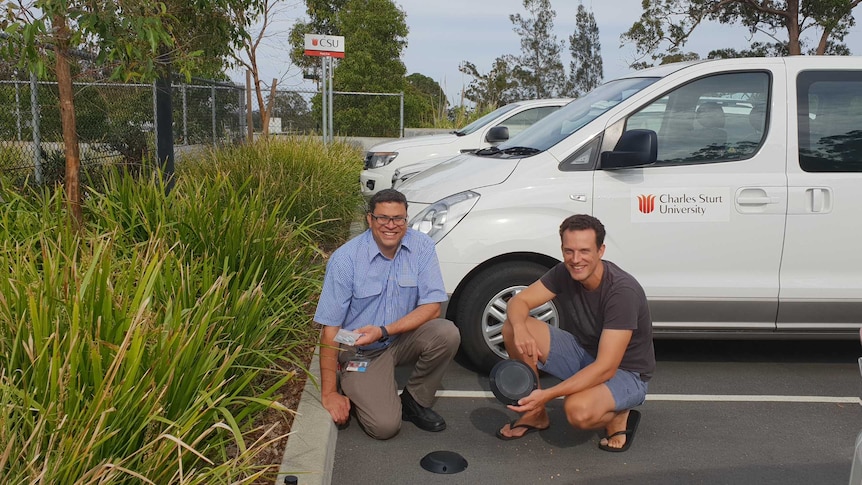 Two men squat over a sensor in a car parking space in the grounds of Charles Sturt University.