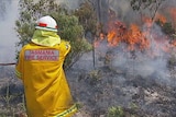 A Tasmanian firefighter tackles one of fires burning around the state.