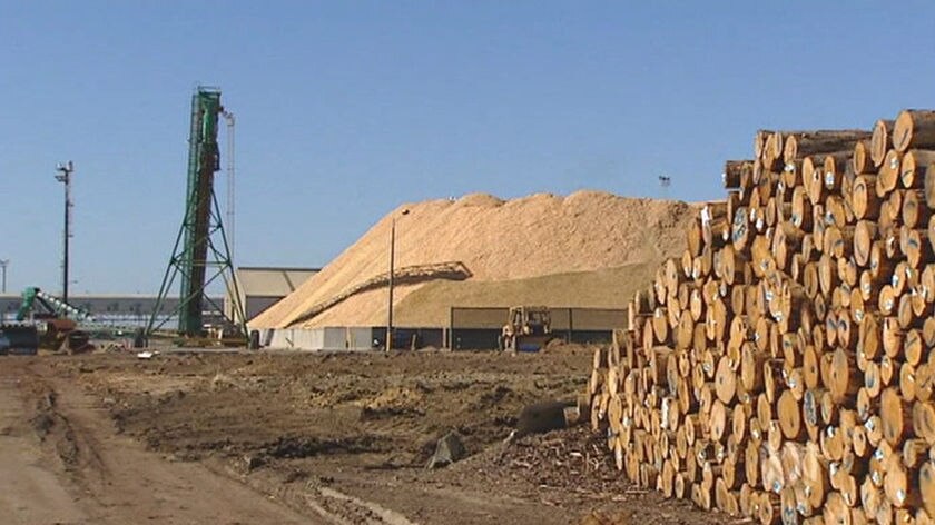 Plans progress for a new pulp mill in the south east of SA