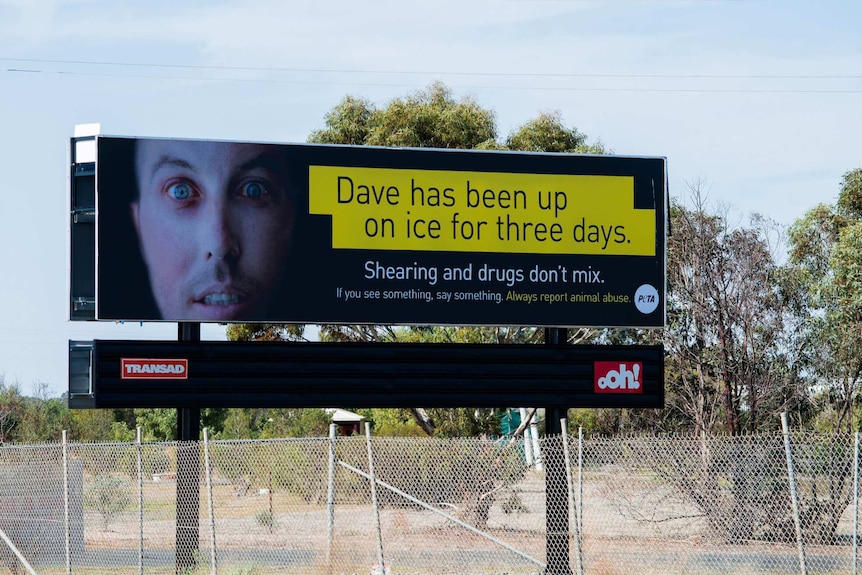 A billboard ad beside a road in Horsham, picturing the gaunt face of a man beside the words "Shearing and drugs don't mix"