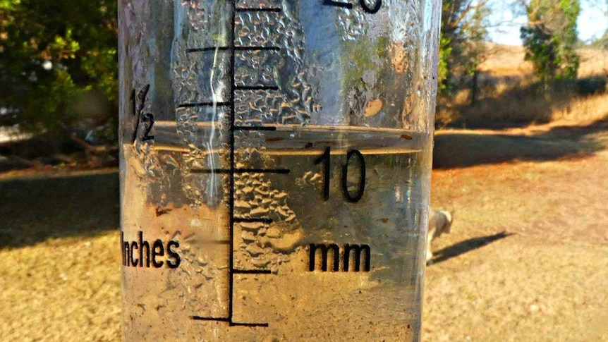 A photo of a rain gauge with water covering the 10mm mark.