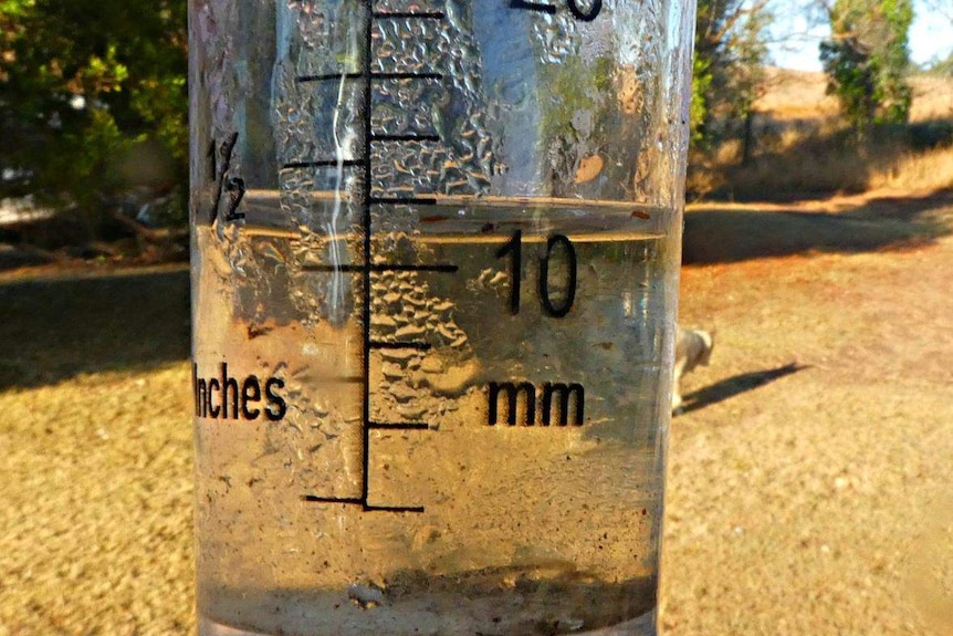 A photo of a rain gauge with water covering the 10mm mark.