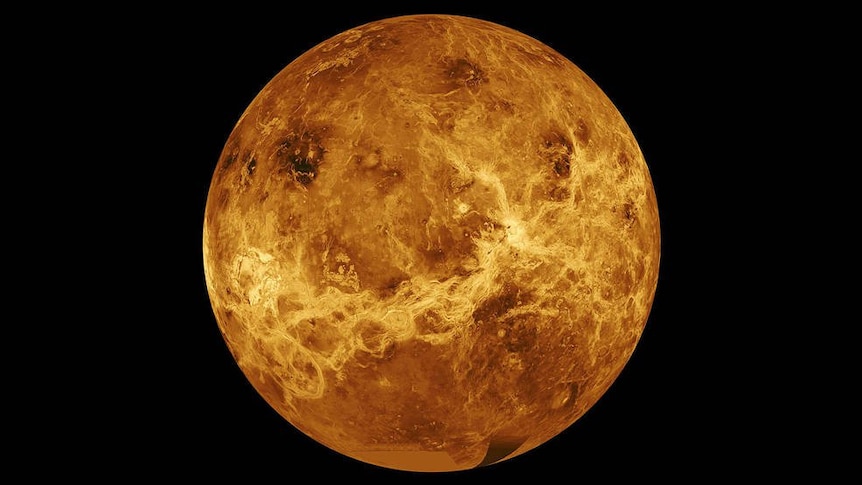Venus appears as a yellowed marble, cracks run across its face