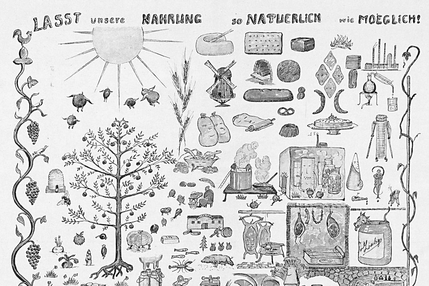 Illustration of nutritional system