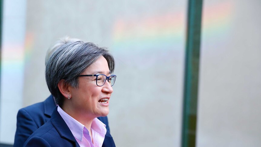 Penny Wong addresses the media with the hint of a rainbow on the wall behind her