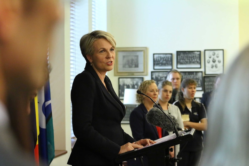 Labor MP Tanya Plibersek speaks to the media in Canberra.