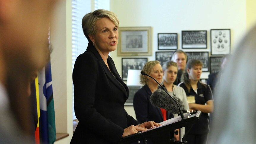 Labor MP Tanya Plibersek speaks to the media in Canberra.