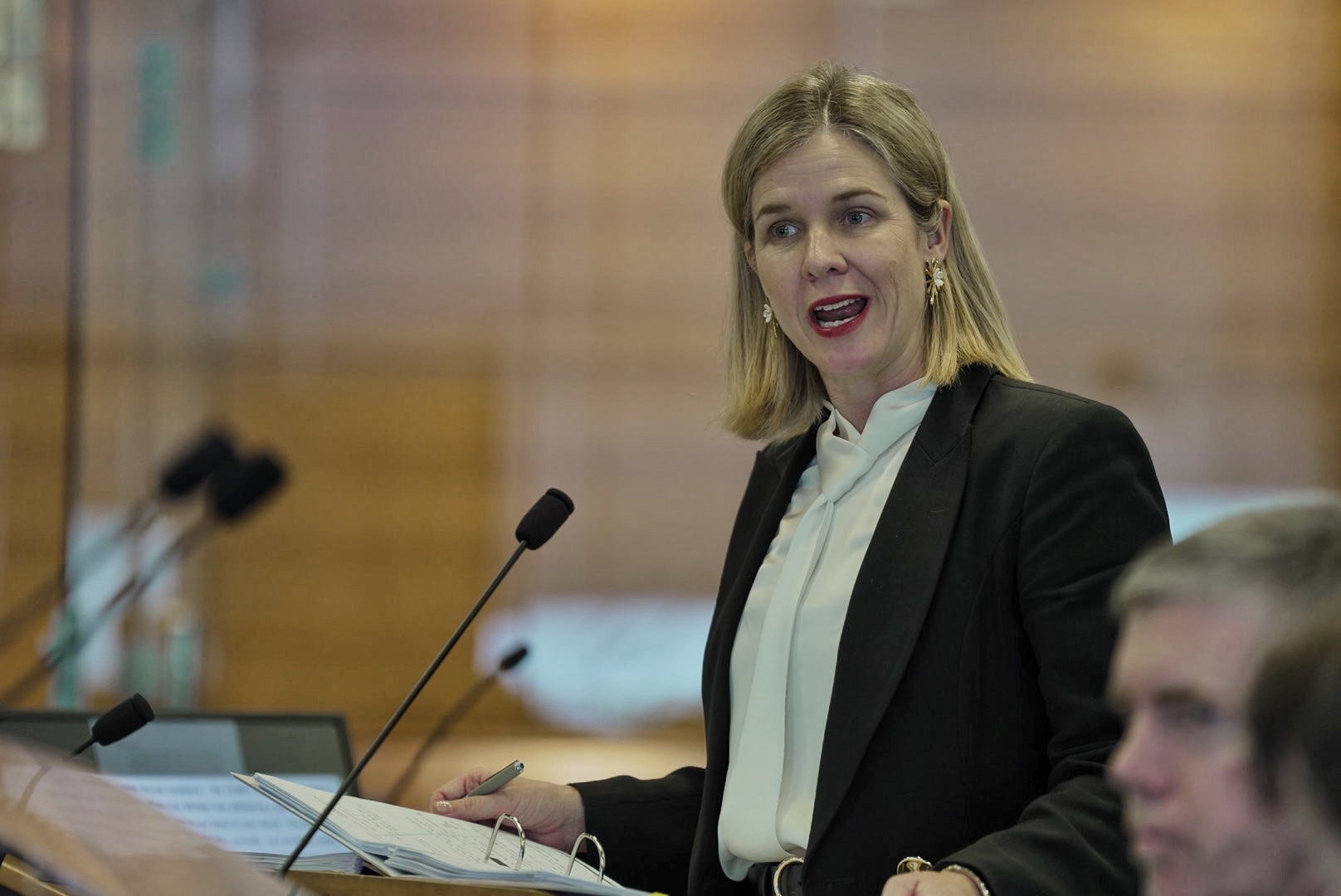 Ruth O'Gorman stands speaking in a court room.