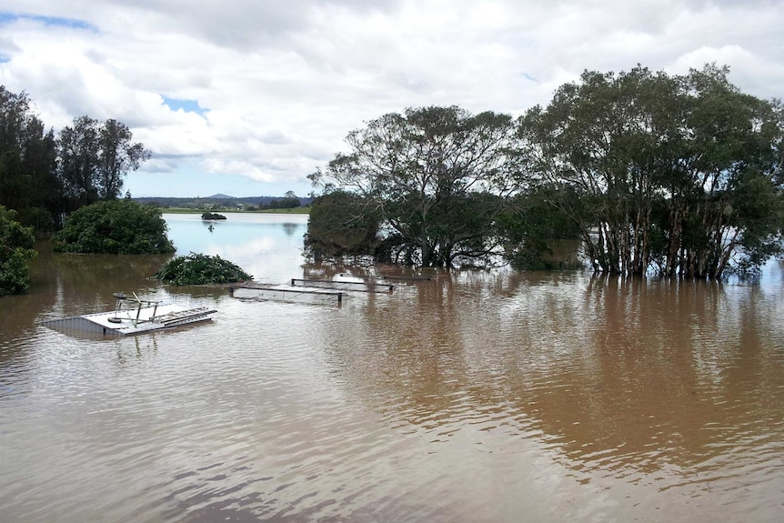 Floodwaters cover a property at Woodford Island.