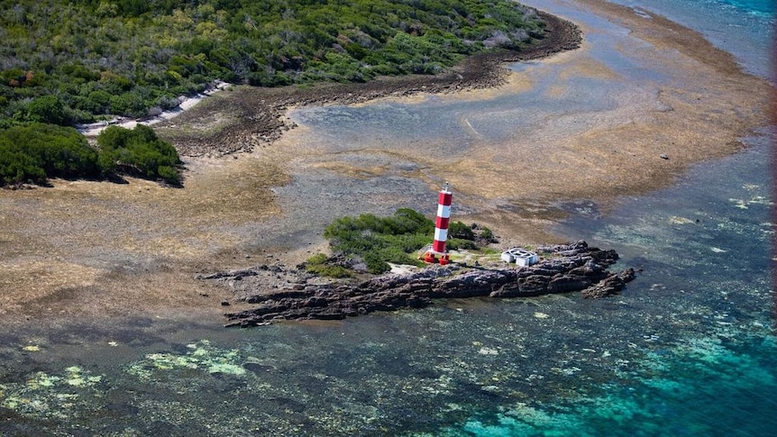 2016 northern Great Barrier Reef coral survey