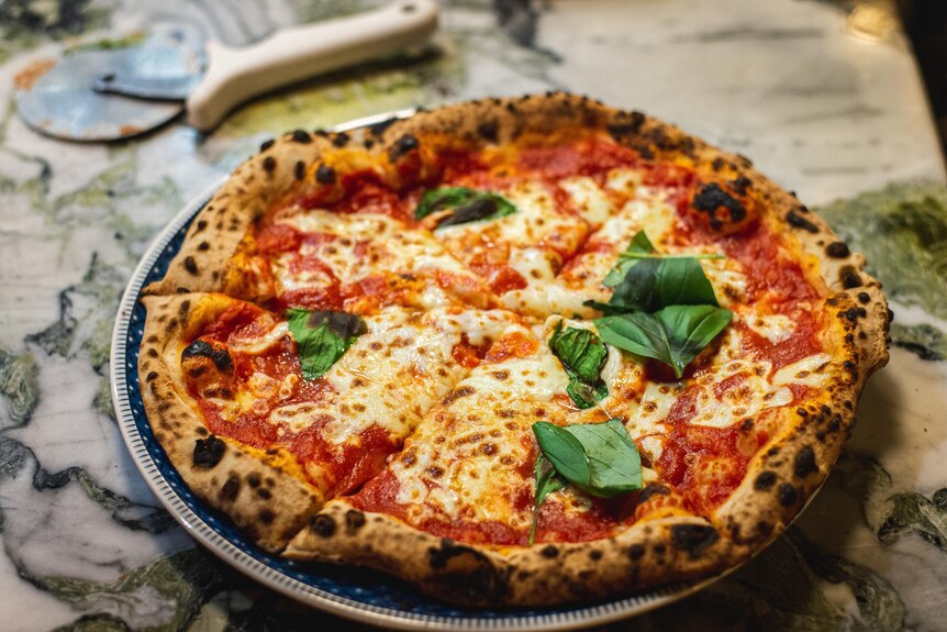 Margherita pizza on a marble bench top with yellow melted cheese, fresh green basil leaves and red tomato sauce.