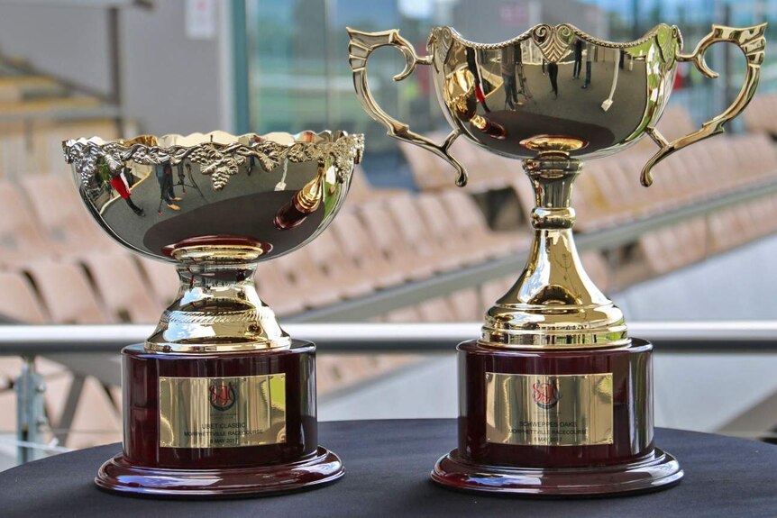Two gleaming trophies side by side.