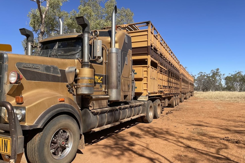 A cattle truck parked at the farm.