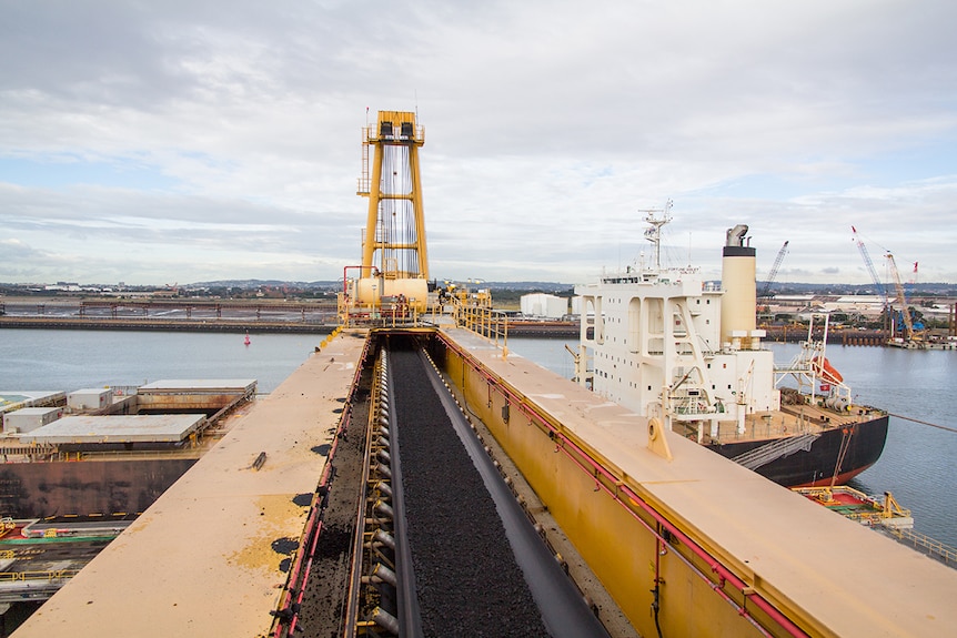 Coal travels along a conveyor belt into a ship.