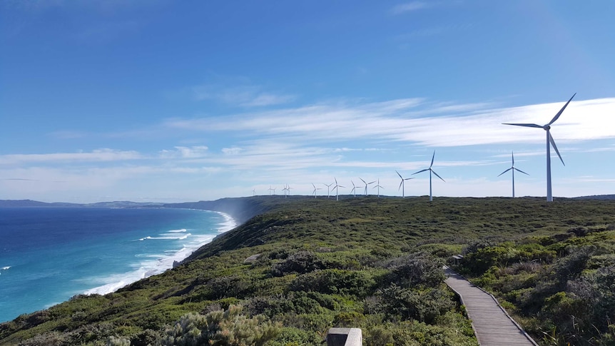 Albany coastline with wind farm in background