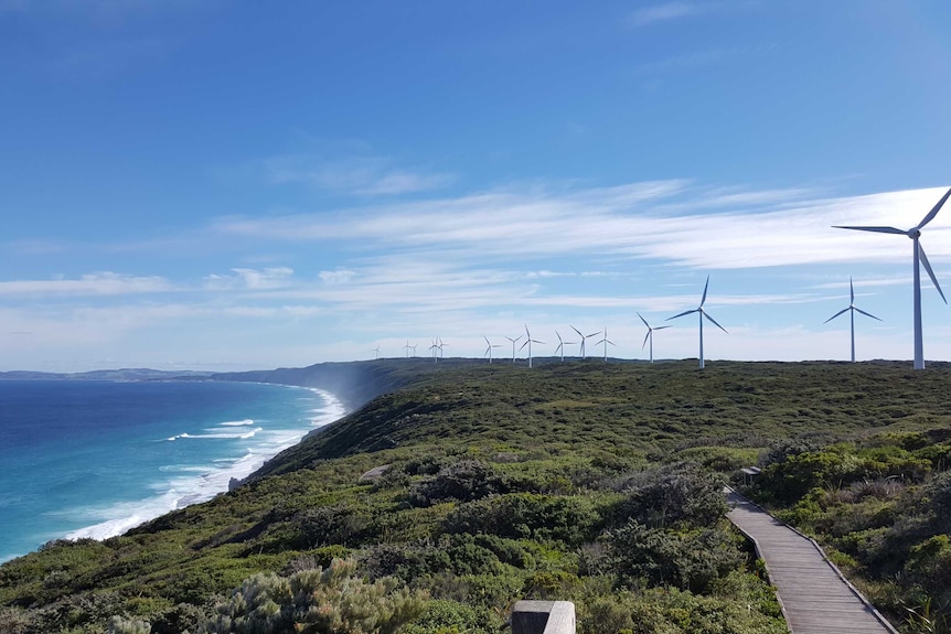 Albany coastline with wind farm in background