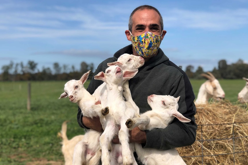 Donovan Jacka from Toldpuddle Goat Cheese Farm in Victoria holds four goats