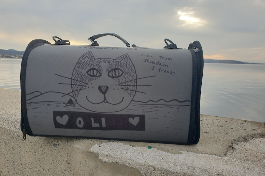 A cat carrier decorated with a cat's face and the name Oli sits on a dock in front of the water.