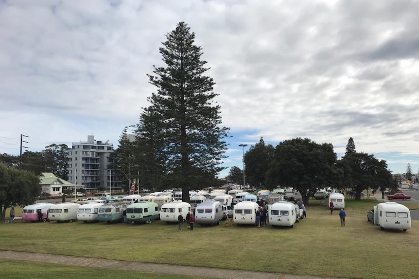 About 30 Sunliner caravans parked in John Wright Park in Tuncurry for the 60th anniversary celebration