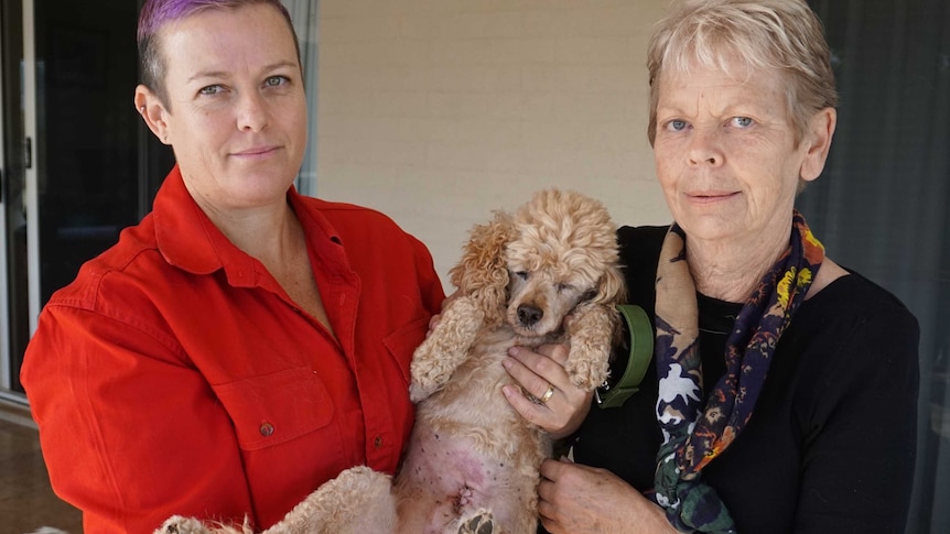 Polly Ashby (left) and Caroline Moore with a 10-year-old poodle.