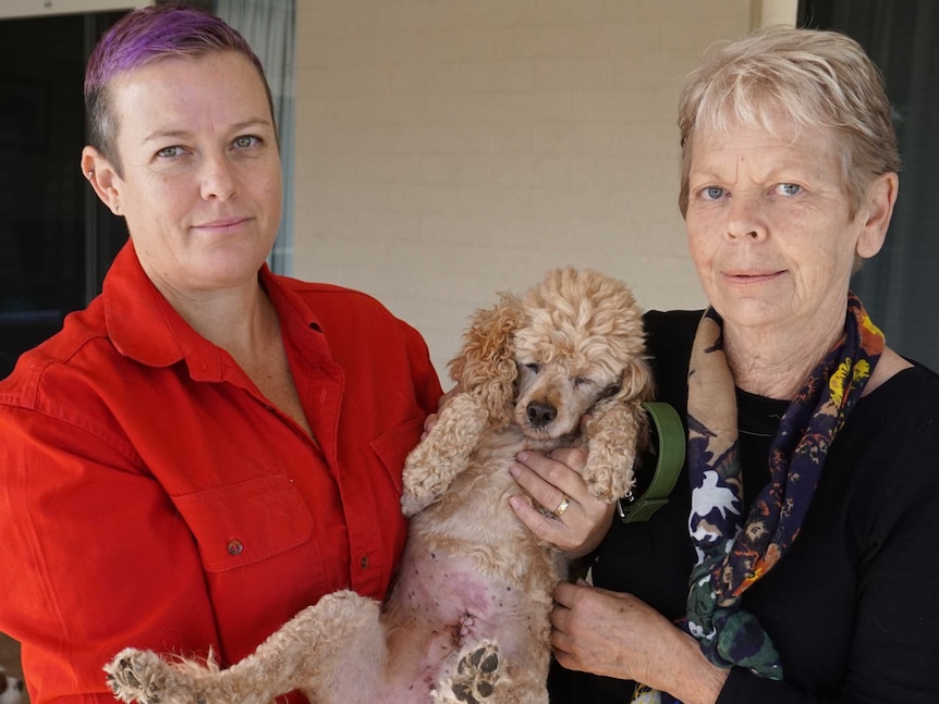 Polly Ashby (left) and Caroline Moore with a 10-year-old poodle.