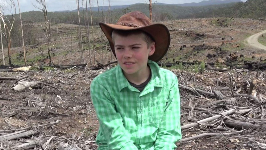 12 year old boy sitting in a clear-felled forest in Lorne, NSW, making a film on new logging laws in Forestry agreement