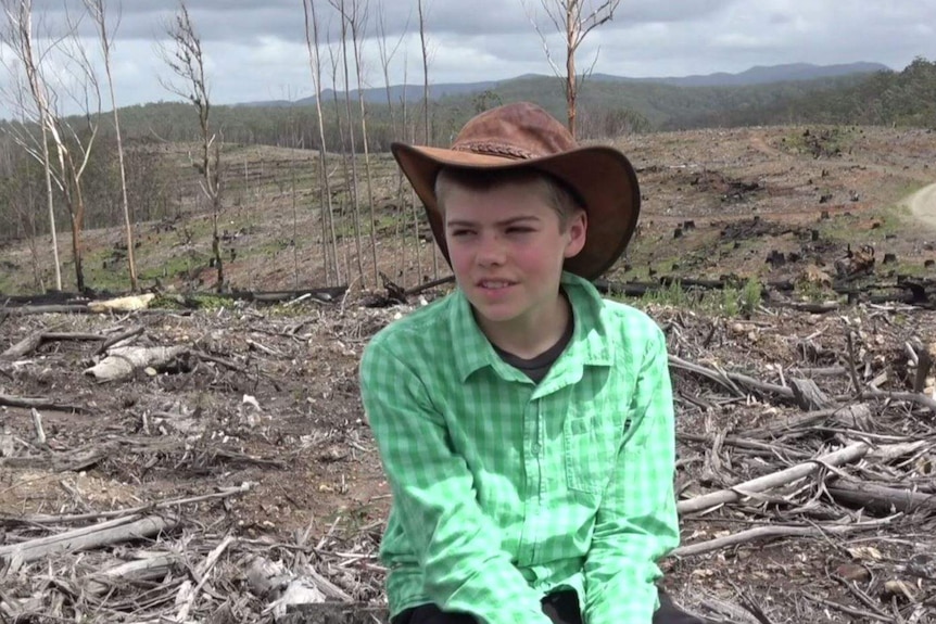 12 year old boy sitting in a clear-felled forest in Lorne, NSW, making a film on new logging laws in Forestry agreement