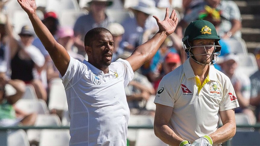 Vernon Philander appeals for Cameron Bancroft's dismissal