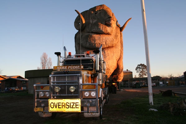 Big Merino icon on the back of large truck.