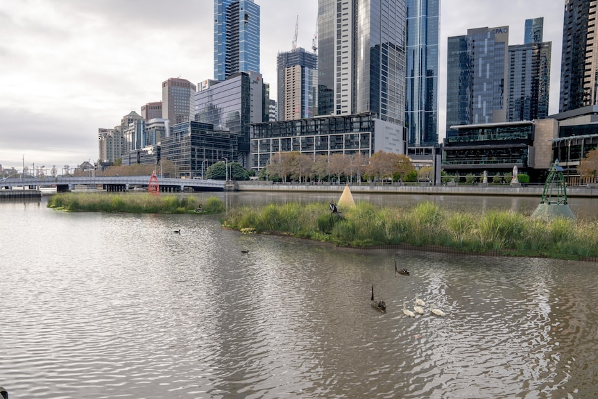 A digital image of floating wetlands on a river with the Melbourne skyline behind.